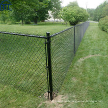 4FT Black and Green PVC Coated Galvanized Chain Link Fence.